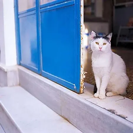Superb Naxos Triple Semi-basement Private Balcony 4*